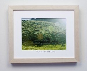 framed photograph, taken from car while driving across USA, with title handwritten on matt